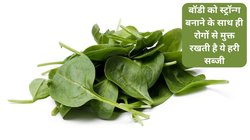 100 ग्राम पालक का सेवन आपकी बॉडी को बना सकता है स्ट्रॉन्ग, डाइट में करें शामिल, होगा इन 7 बीमारियों से बचाव