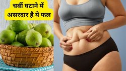गर्मी के गोलाकार और हरे रंग के इस रसीले फल से वजन होगा कम, ब्लड शुगर भी रहेगी कंट्रोल में, जानिए और भी फायदे