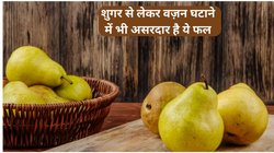 5 रुपये में मिलने वाले इस 1 फल के फायदे ही फायदे, पोषक तत्वों से भरपूर कई बीमारियों में रामबाण, एक्सपर्ट से जानें इसकी खासियत