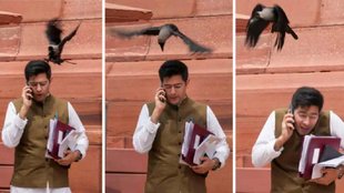 raghav chaddha, raghav chaddha parliament house,