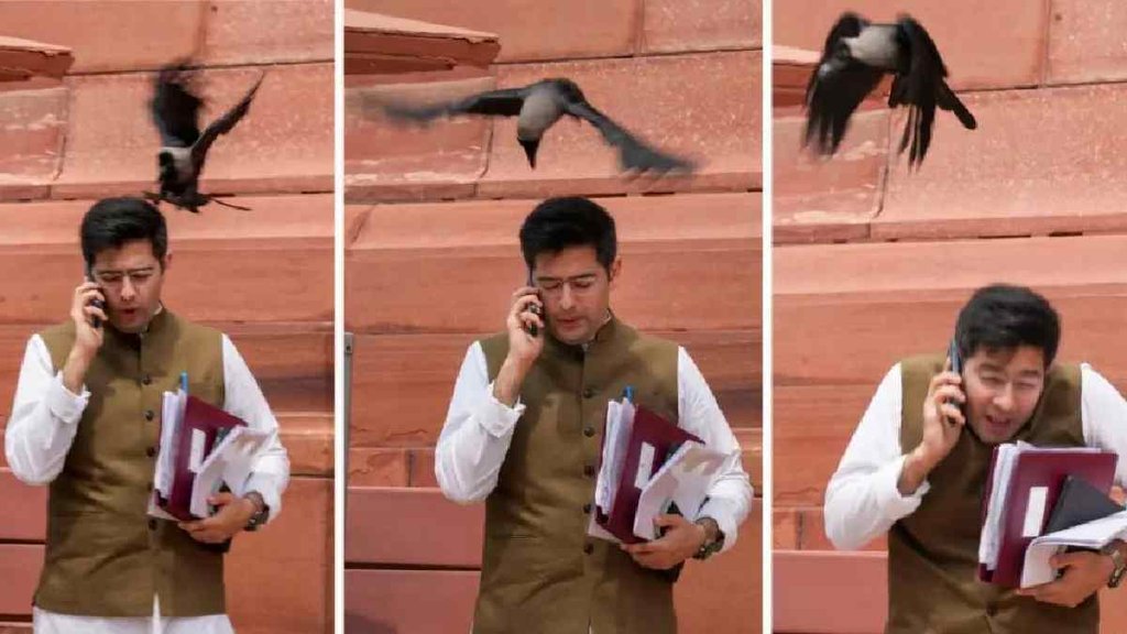 raghav chaddha, raghav chaddha parliament house,