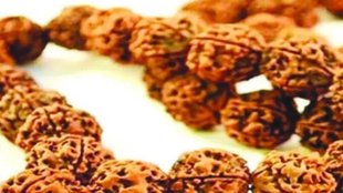 Gauri Shankar Rudraksha, Gauri Shankar Rudraksha Benefits