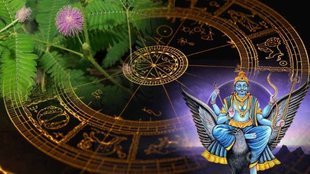 hani dev, Shani dev peepal, shami ka paudha