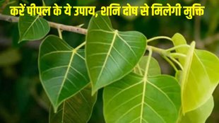 pipal astro remedies, pipal ke upay