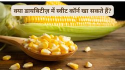 क्या डायबिटीज के मरीज Sweet Corn का सेवन कर सकते हैं? पोषक तत्वों से भरपूर मकई से सेहत को और कौन-कौन से हो सकते है फायदे, जानिए