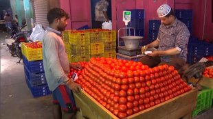 tomato price| tomato price hike