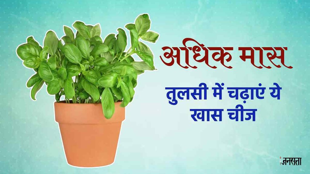Adhik maas 2023। Tulsi Upay।