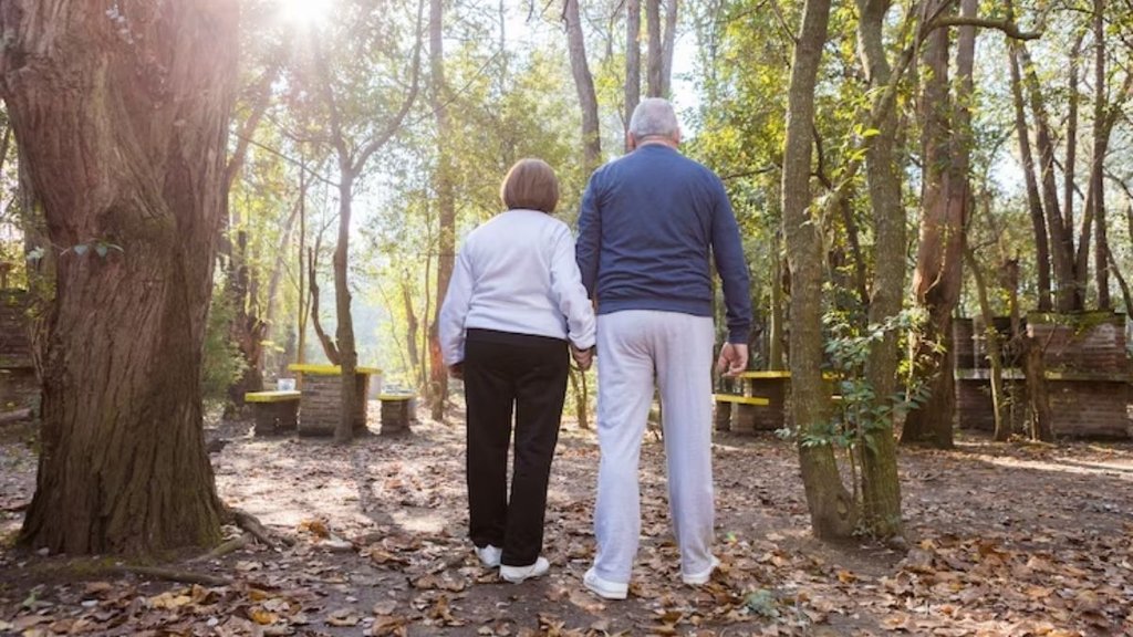 Walking boosts Memory, walking boost Communication between Brain Network, walking effect on Default Mode, walking effect on Frontoparietal Network, walking boosts brain connectivity and memory in older adults,