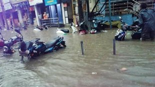 waterlogging | flood