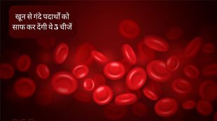 natural blood purifiers । home remedies to purify blood । tips to detoxify your blood naturally