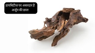 Diabetes Diet । Diabetes Control Diet । Ashoka Bark Benefits । Ashoka Bark Can Contol Blood Sugar Level