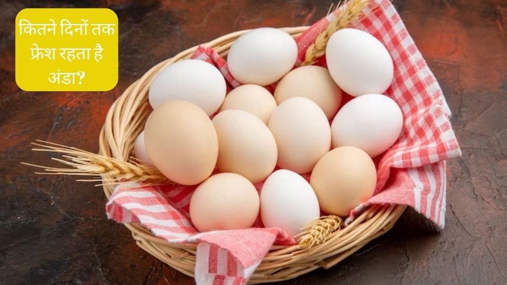 How many days eggs can be stored । How long do eggs last in the freezer । How long do eggs last