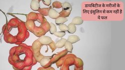 डायबिटीज के मरीजों के लिए इंसुलिन से कम नहीं है ये खास फल, चाहते हैं कंट्रोल रहे ब्लड शुगर तो ऐसे करें सेवन