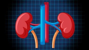 kidney damage । acute kidney failure । diarrhea । kidney disease
