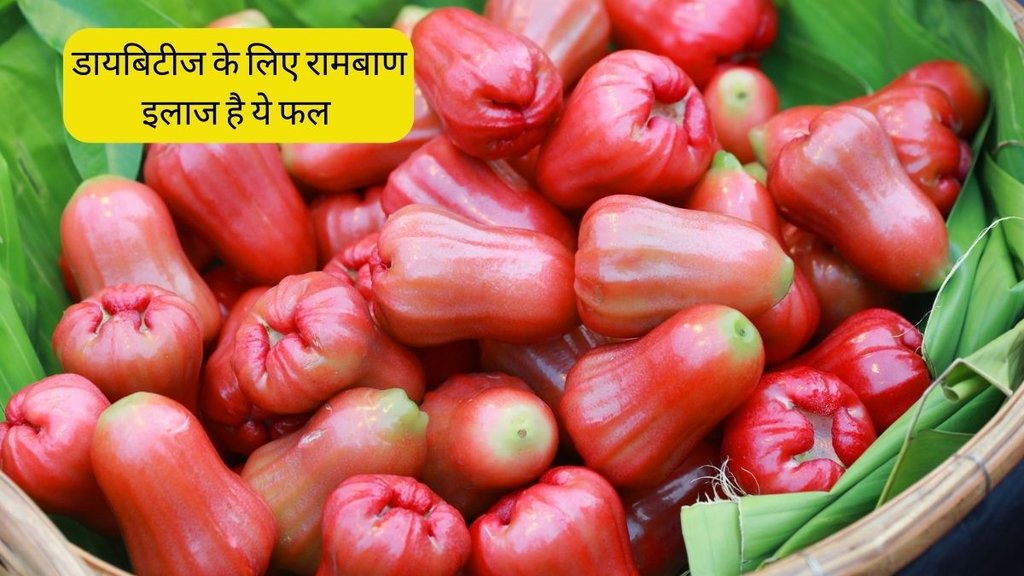 Water Apple । Water Apple Health Benefits । Diabetes । Diabetes Diet