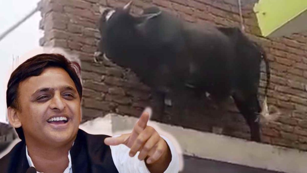 Akhilesh yadav II UP II Viral News