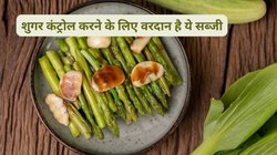 Diabetes Diet: हमेशा Blood Sugar को रखना है कंट्रोल, सैकड़ों फीट लंबी इस चीज की सब्जी खाएं, शुगर स्पाइक का नहीं रहेगा खतरा