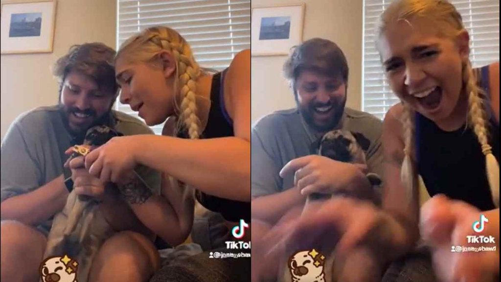 Funny Dog II Viral Video II Trending News (1)