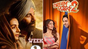 Gadar 2/ Gadar 2 Box Office/ Gadar 2 Collection