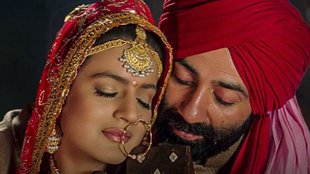 Gadar 2/ Sunny deol Box Office/ Gadar 2 Collection Day 19