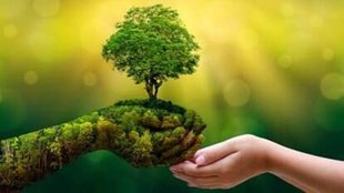 Green tree |,Environment