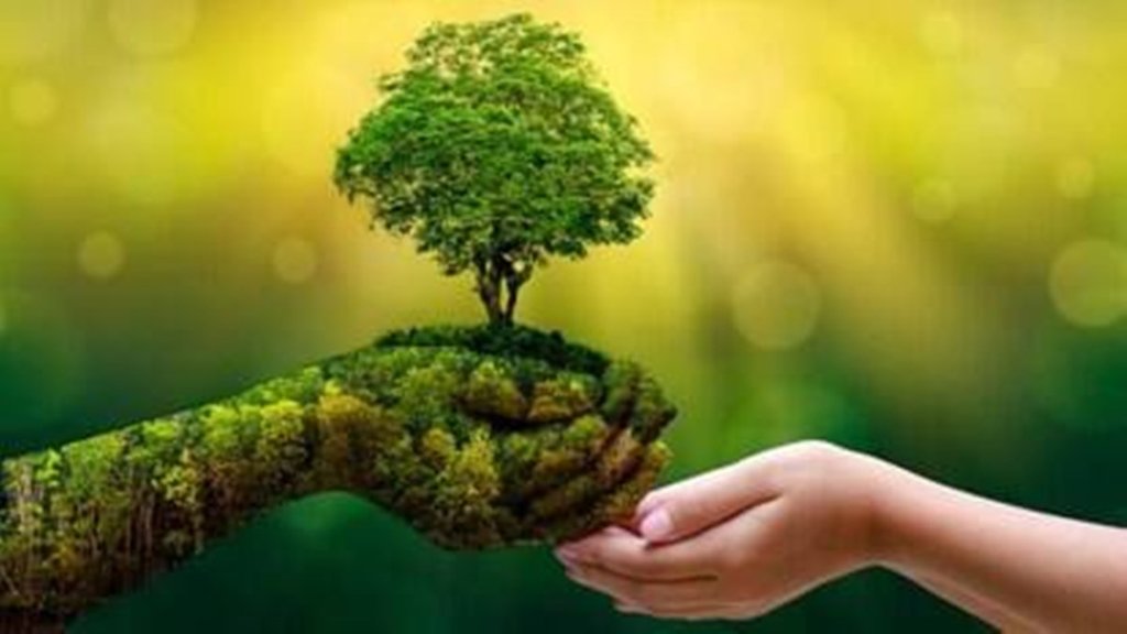 Green tree |,Environment