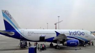 INDIGO