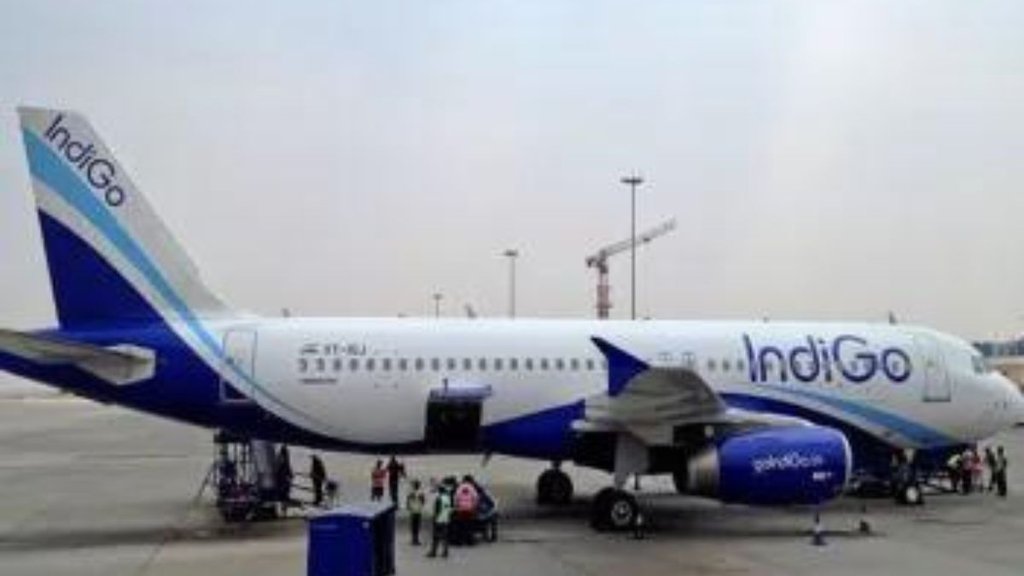 INDIGO