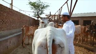 Meo Muslims | Mewat