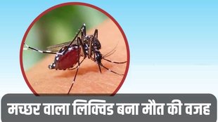 Mosquito Repellent Liquid, Mortein, Liquid