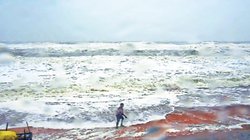 Blog: समुद्र में जलवायु परिवर्तन का असर, पारिस्थितिकी तंत्र के गड़बड़ाने का संकट