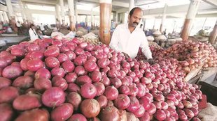 onion price rise | tomato |