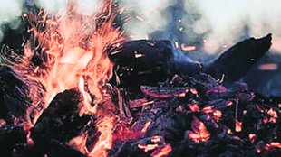 Pakistan | Violence |