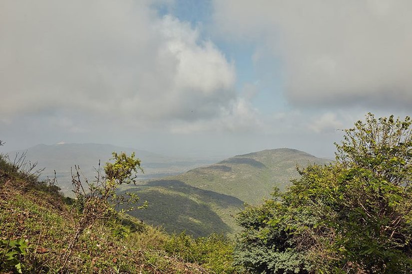 Where Is Shatrunjaya Hill