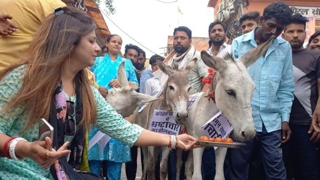 Rajasthan II Viral Video II Jaipur (1)