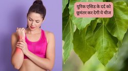 Uric Acid की समस्या से छुटकारा पाने के लिए इस तरह करें पीपल की छाल का इस्तेमाल, गायब हो जाएगा जोड़ों का दर्द, हड्डियां बनेंगी मजबूत