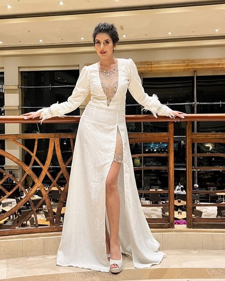 Charu Asopa Networth