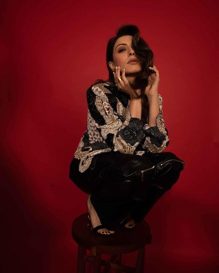 Hansika Motwani Income