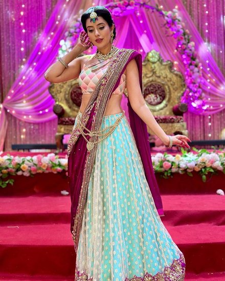 Charu Asopa Shows