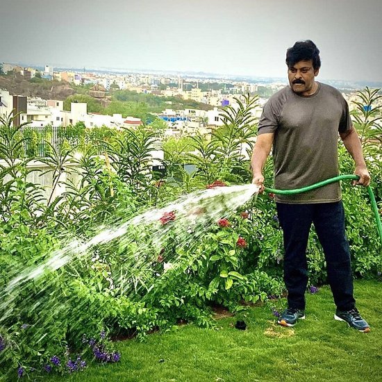chiranjeevi telugu movies