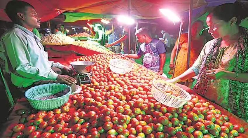 Tomato buyers in chandigarh.