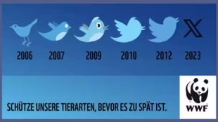 Twitter II News Ii Viral (1)