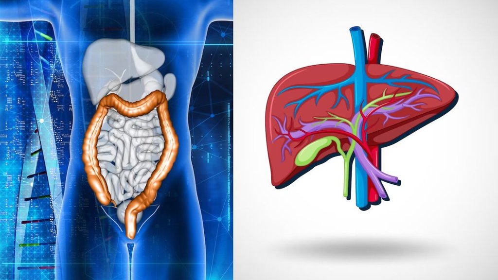 Health Benefits of Bitter Gourd । Gut Health । Liver Detox