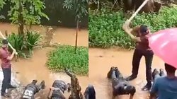 NCC छात्रों की बर्बर पिटाई का वीडियो वायरल, कॉलेज प्रशासन पर उठा सवाल तो प्रिंसिपल ने दी सफाई