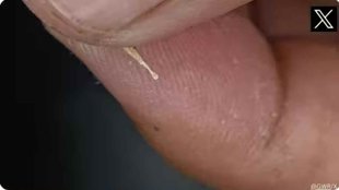 Viral video II News II Smallest Spoon