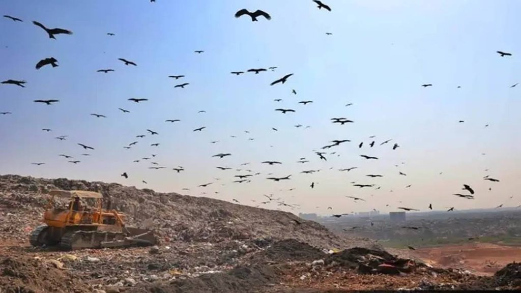 Delhi news, Delhi garbage, Delhi landfills, Kejriwal Delhi landfill, Indian Express