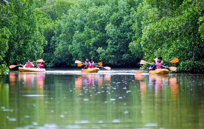 Kayaking point