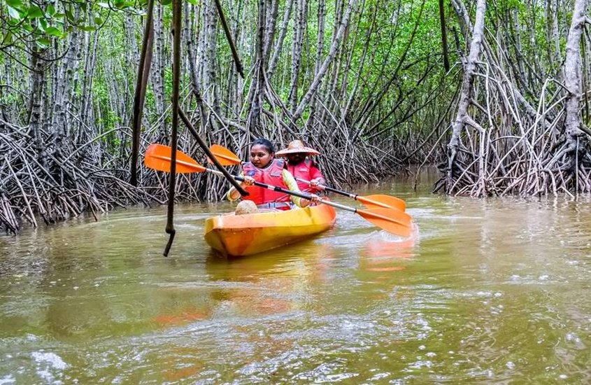 Jungle Lodges and Resorts