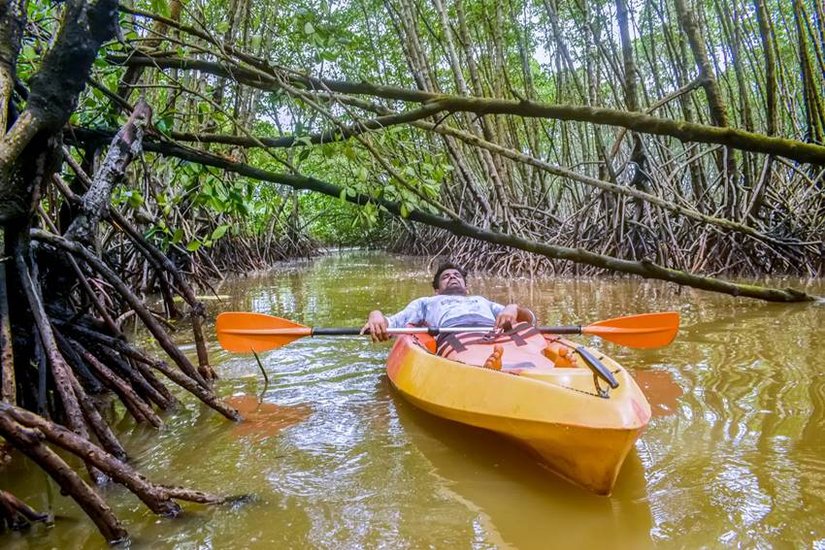 backkwaters of Kali river
