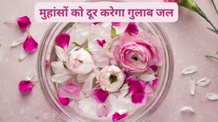how to remove pimples, home remedies for pimples, what will happen by applying rose water,
